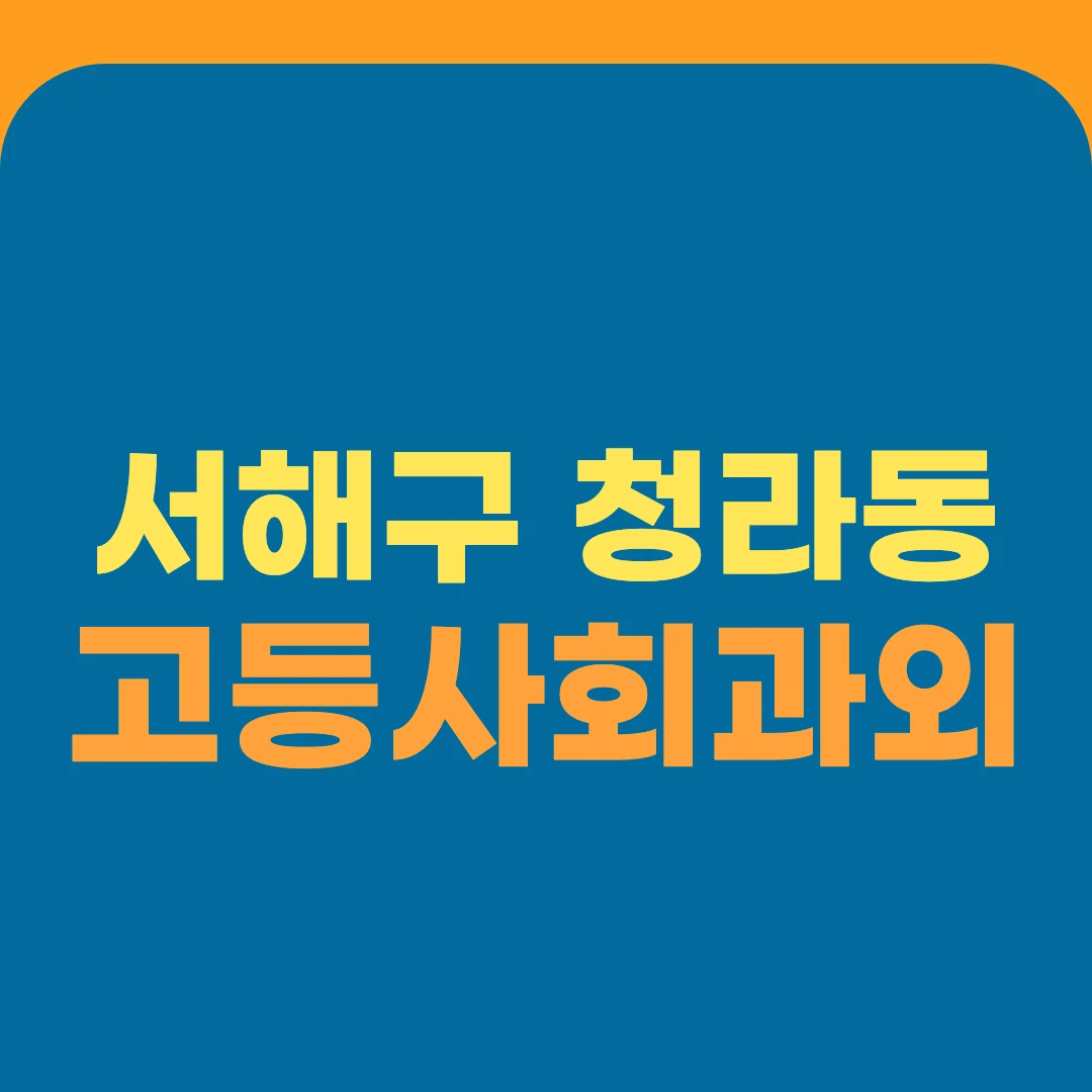 서해구 청라동 고등사회과외