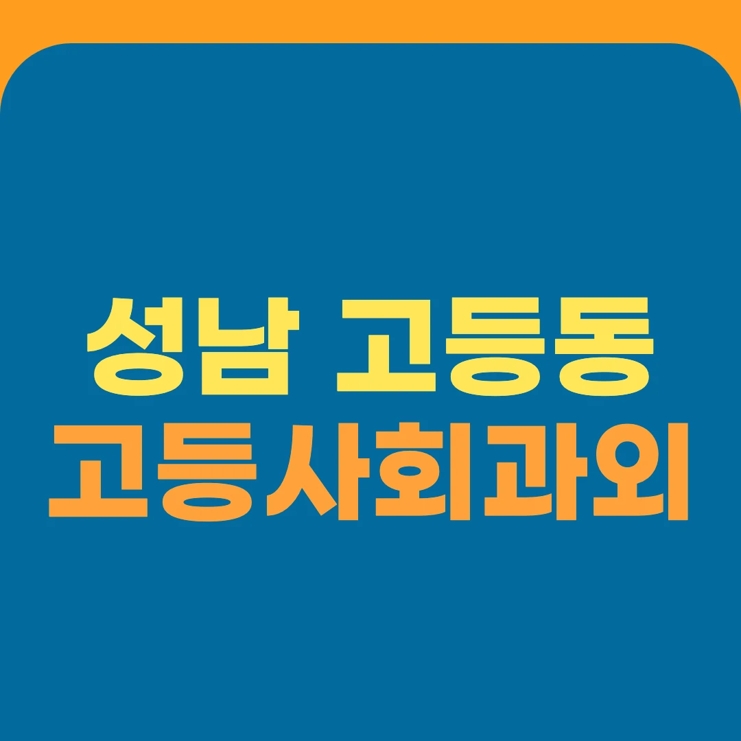 성남 고등동 고등사회과외