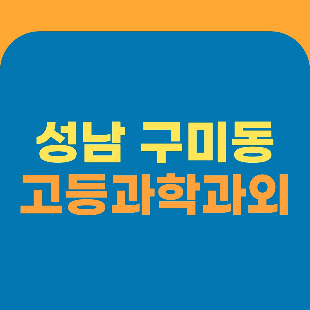 성남 구미동 고등과학과외