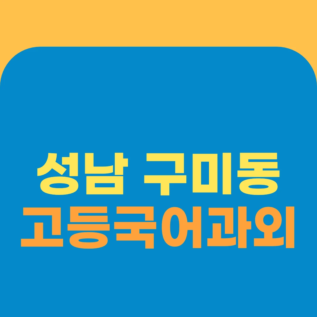 성남 구미동 고등국어과외