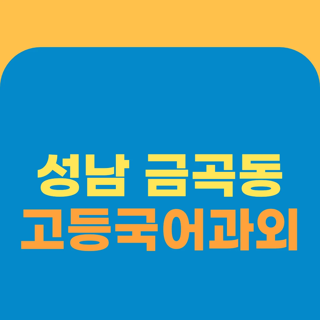 성남 금곡동 고등국어과외