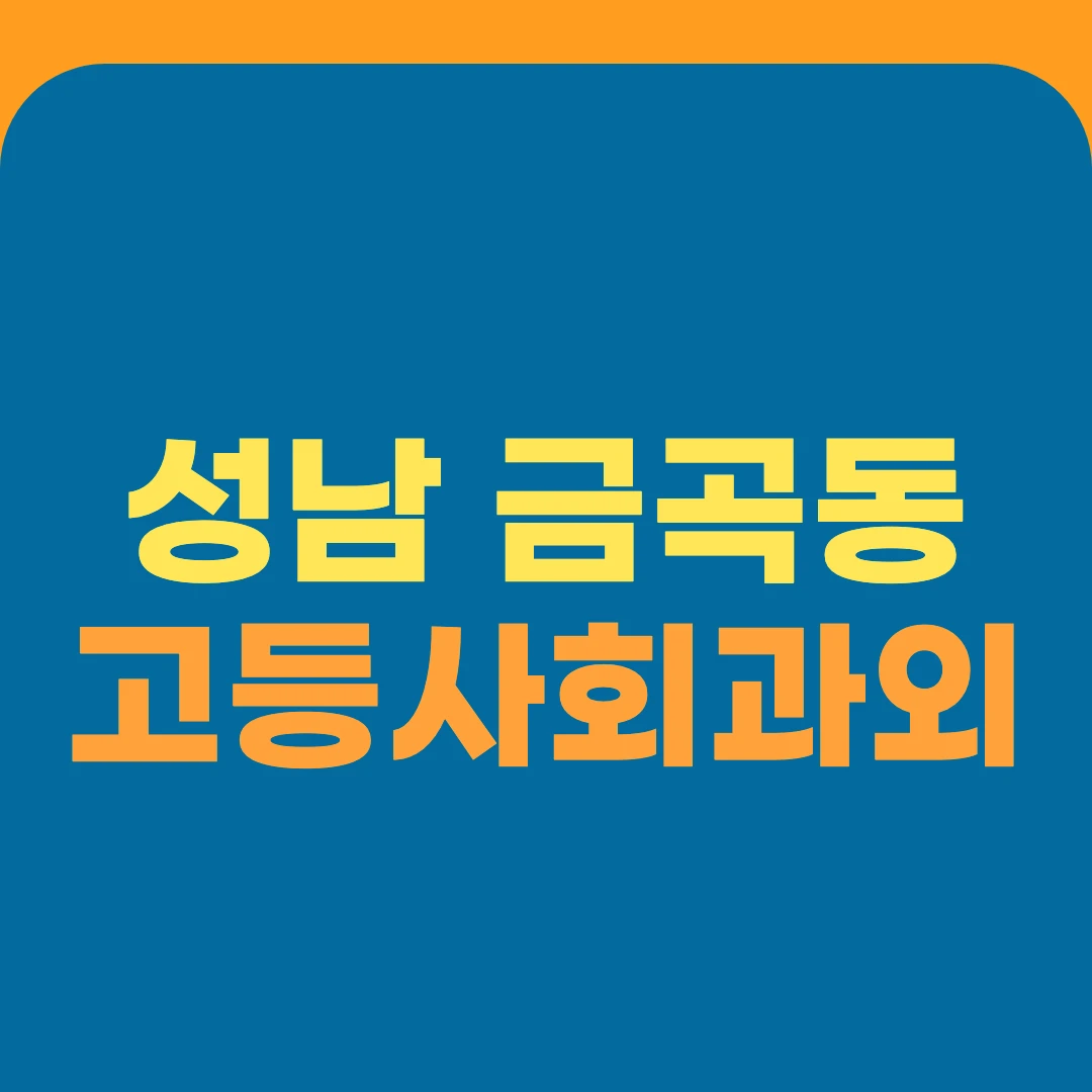 성남 금곡동 고등사회과외