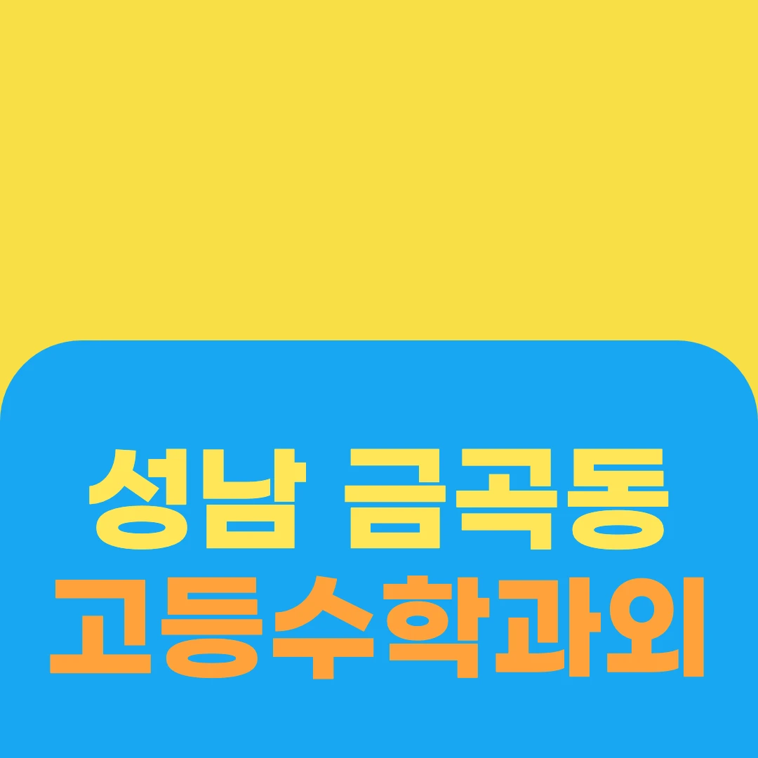 성남 금곡동 고등수학과외