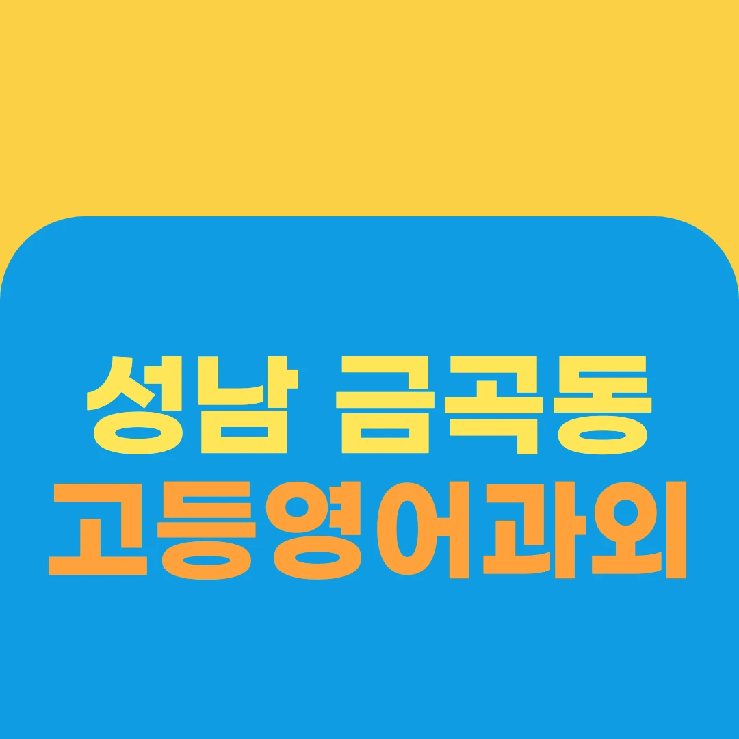 성남 금곡동 고등영어과외