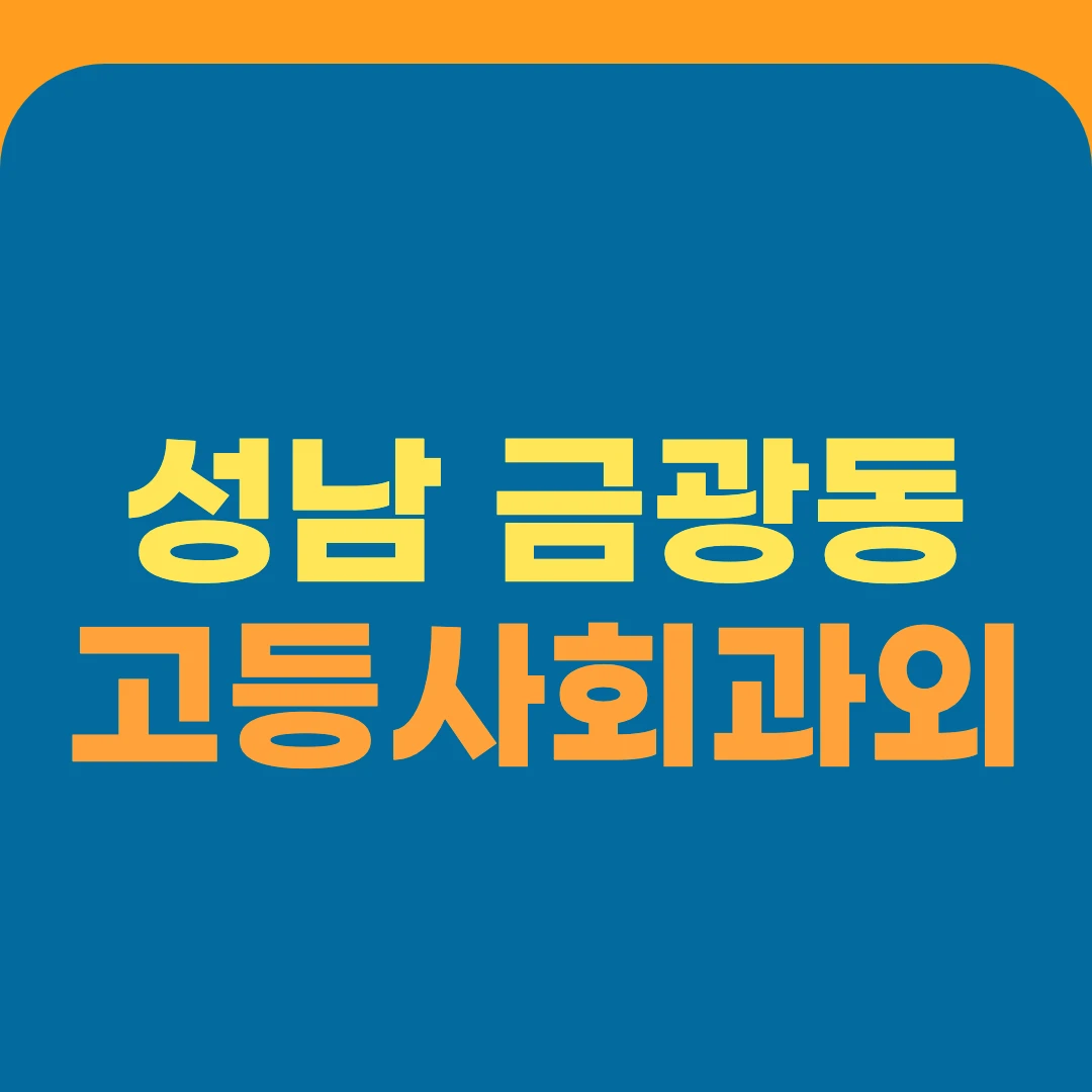 성남 금광동 고등사회과외