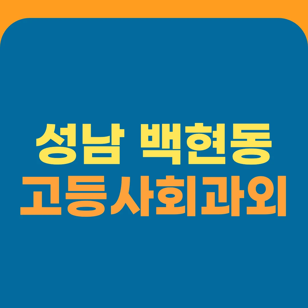 성남 백현동 고등사회과외