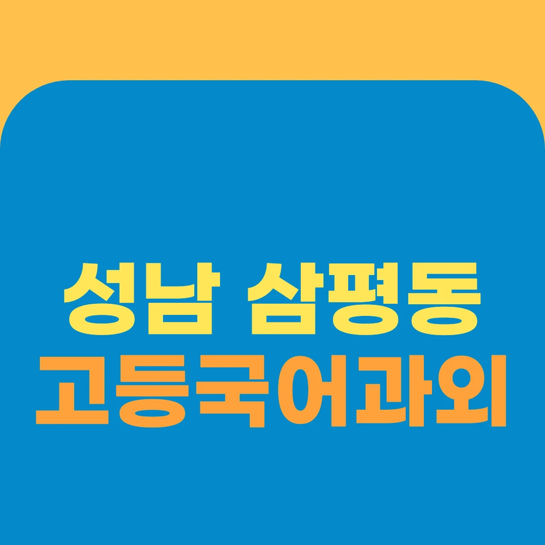 성남 삼평동 고등국어과외