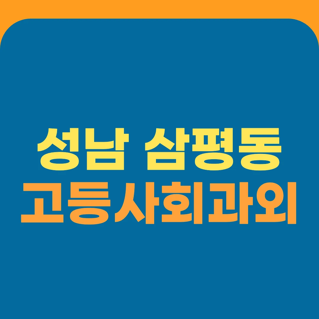 성남 삼평동 고등사회과외