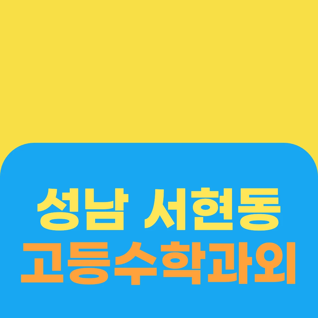 성남 서현동 고등수학과외