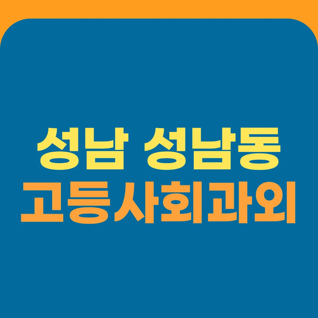 성남 성남동 고등사회과외