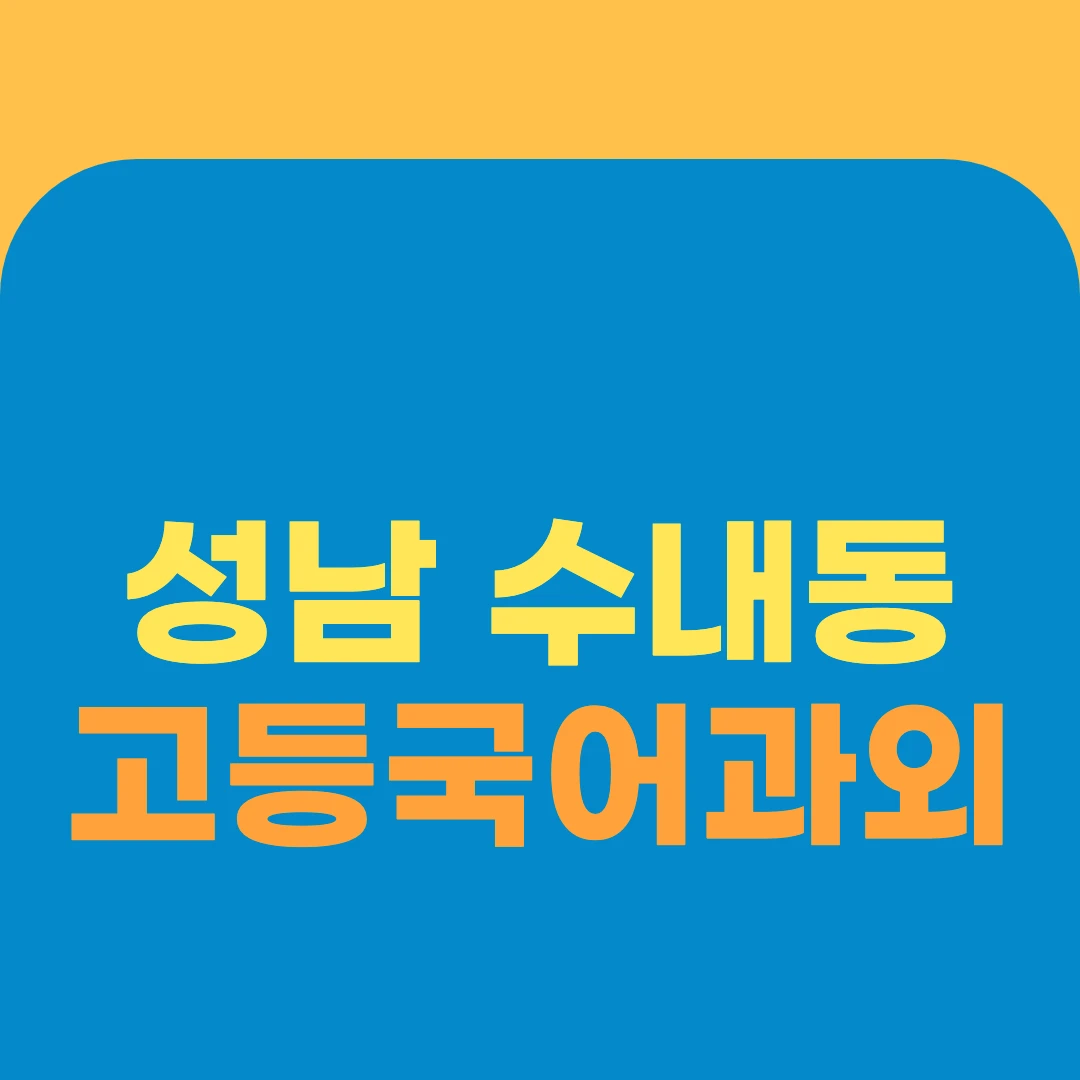 성남 수내동 고등국어과외
