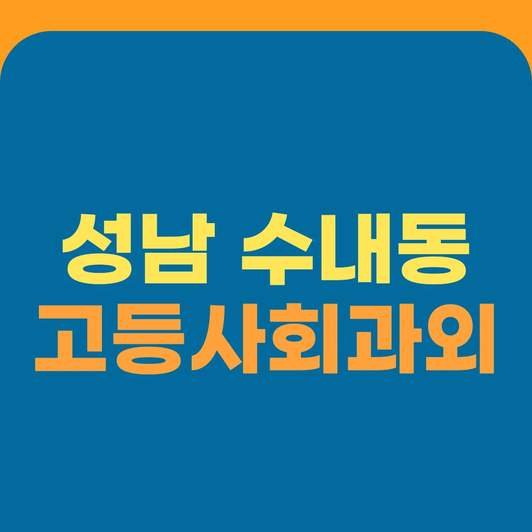 성남 수내동 고등사회과외
