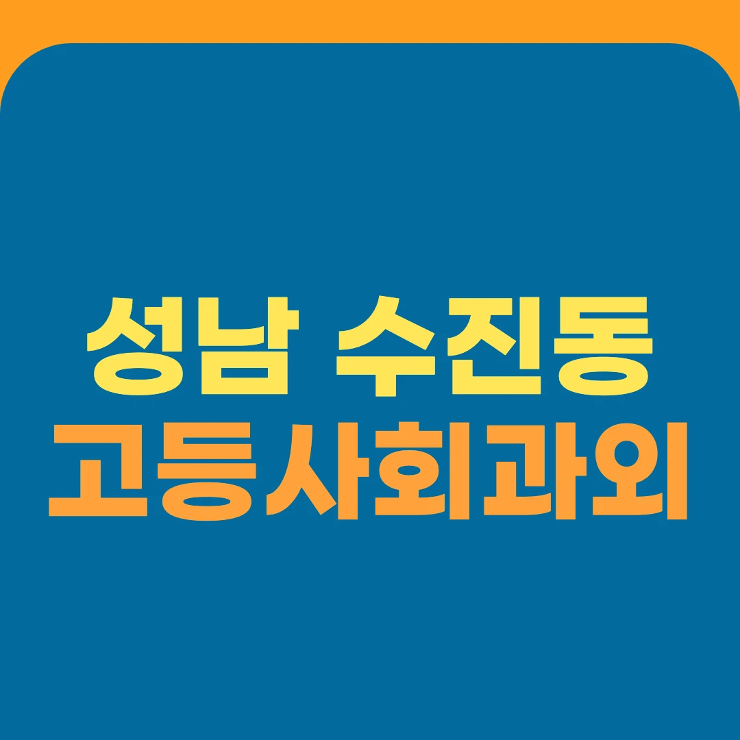 성남 수진동 고등사회과외