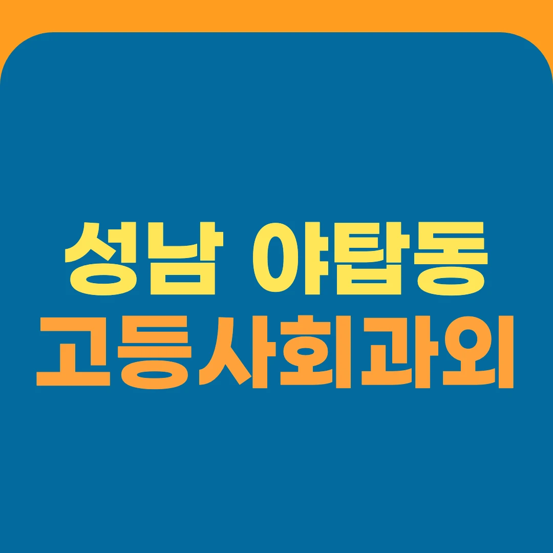 성남 야탑동 고등사회과외