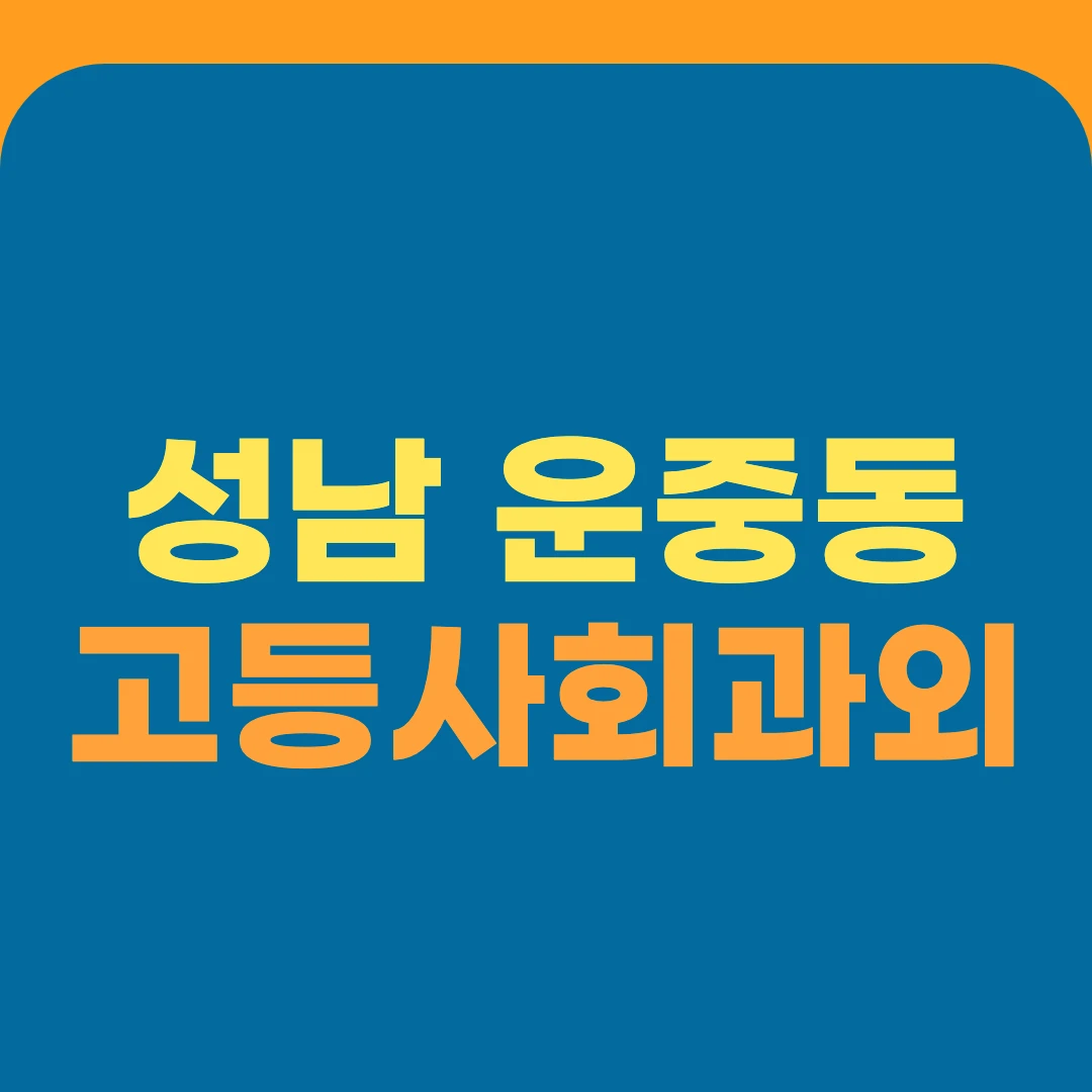 성남 운중동 고등사회과외