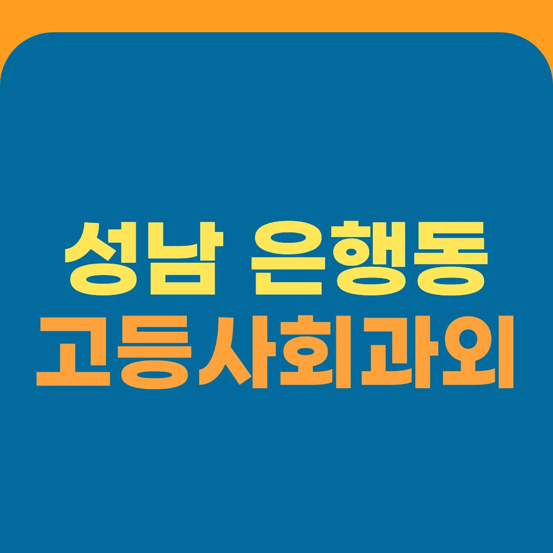 성남 은행동 고등사회과외