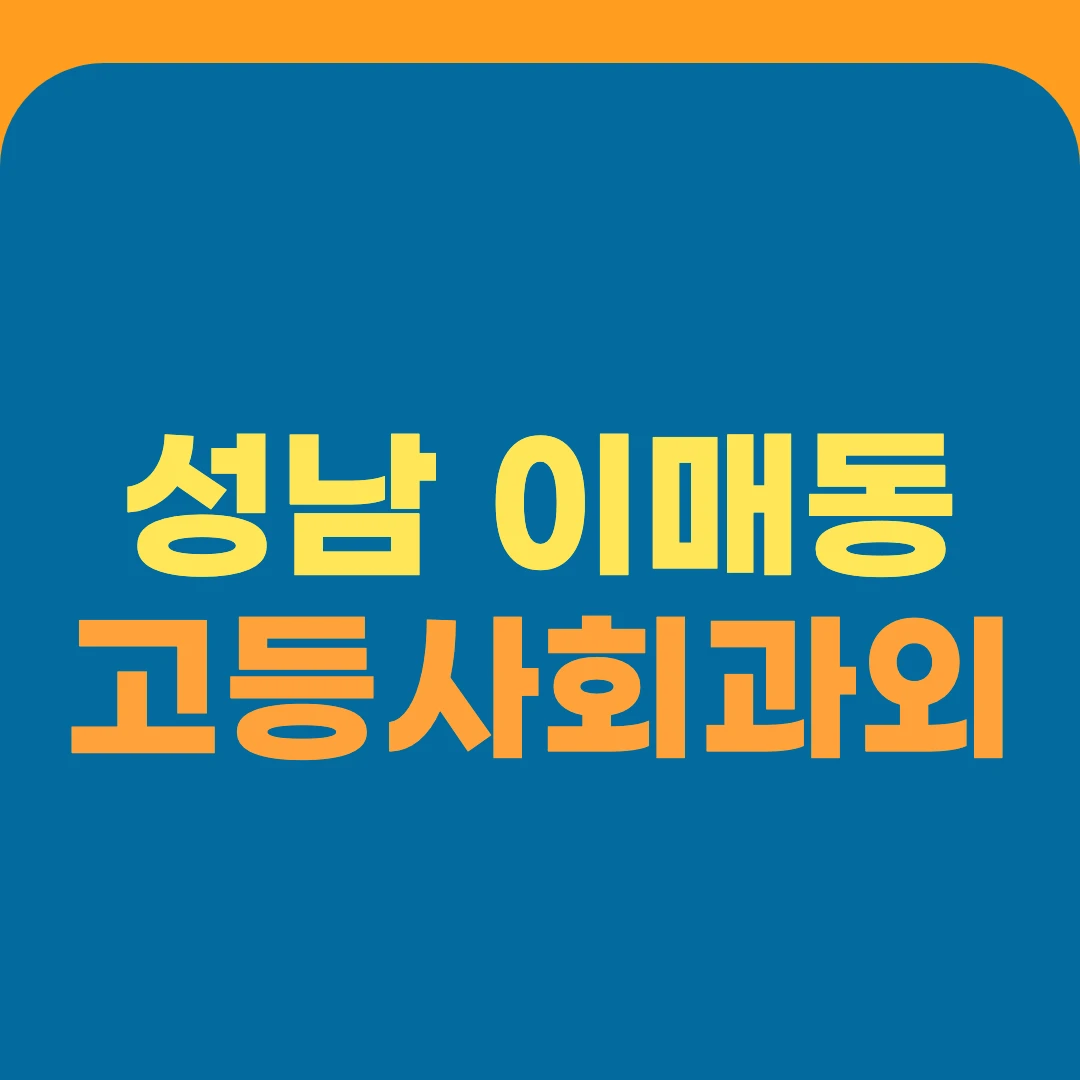 성남 이매동 고등사회과외
