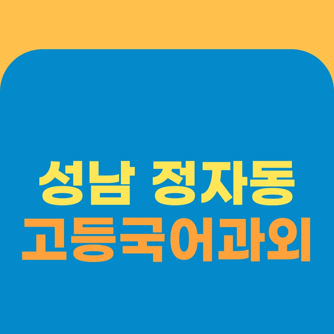 성남 정자동 고등국어과외