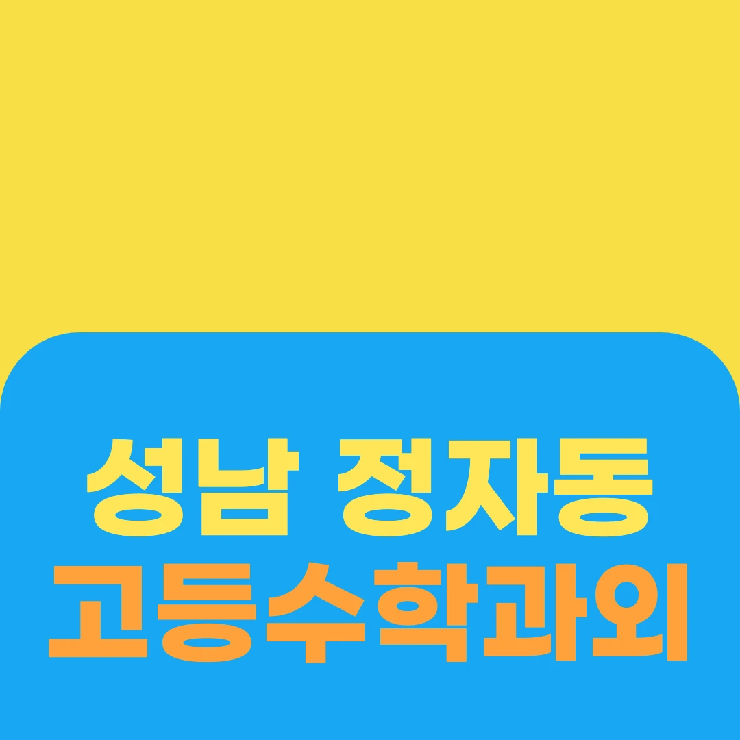 성남 정자동 고등수학과외