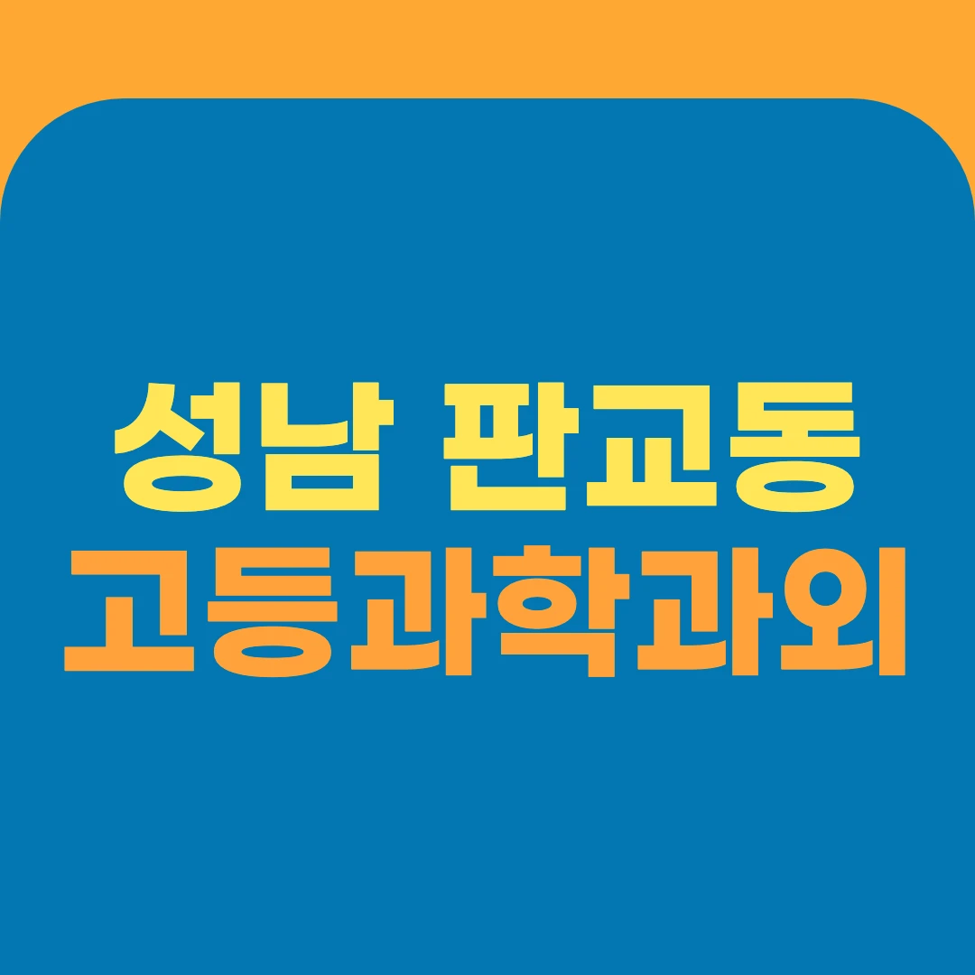 성남 판교동 고등과학과외