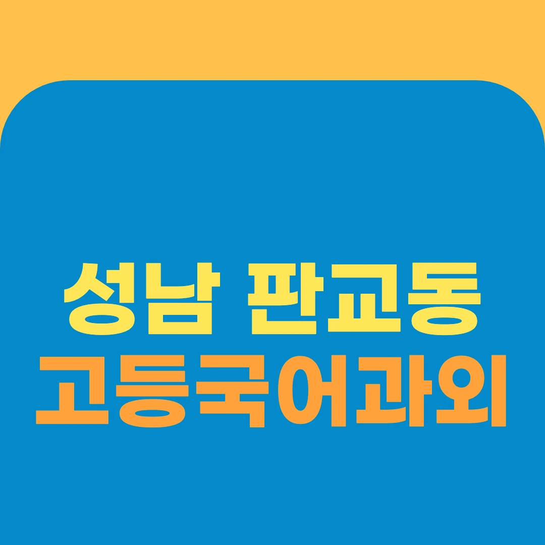 성남 판교동 고등국어과외
