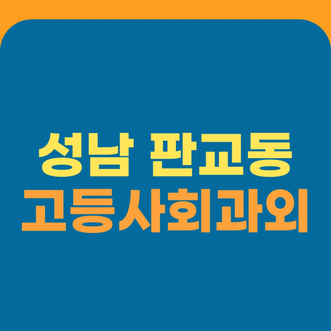 성남 판교동 고등사회과외
