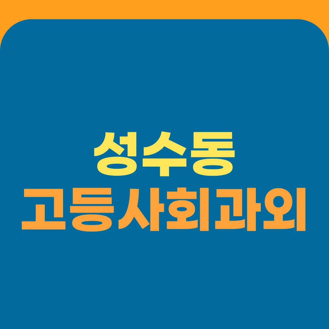 성수동 고등사회과외