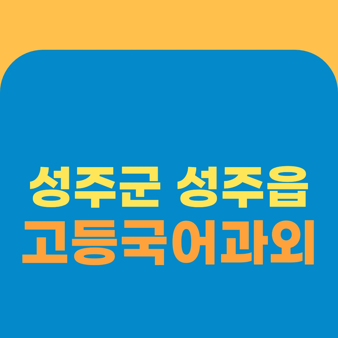 성주군 성주읍 고등국어과외
