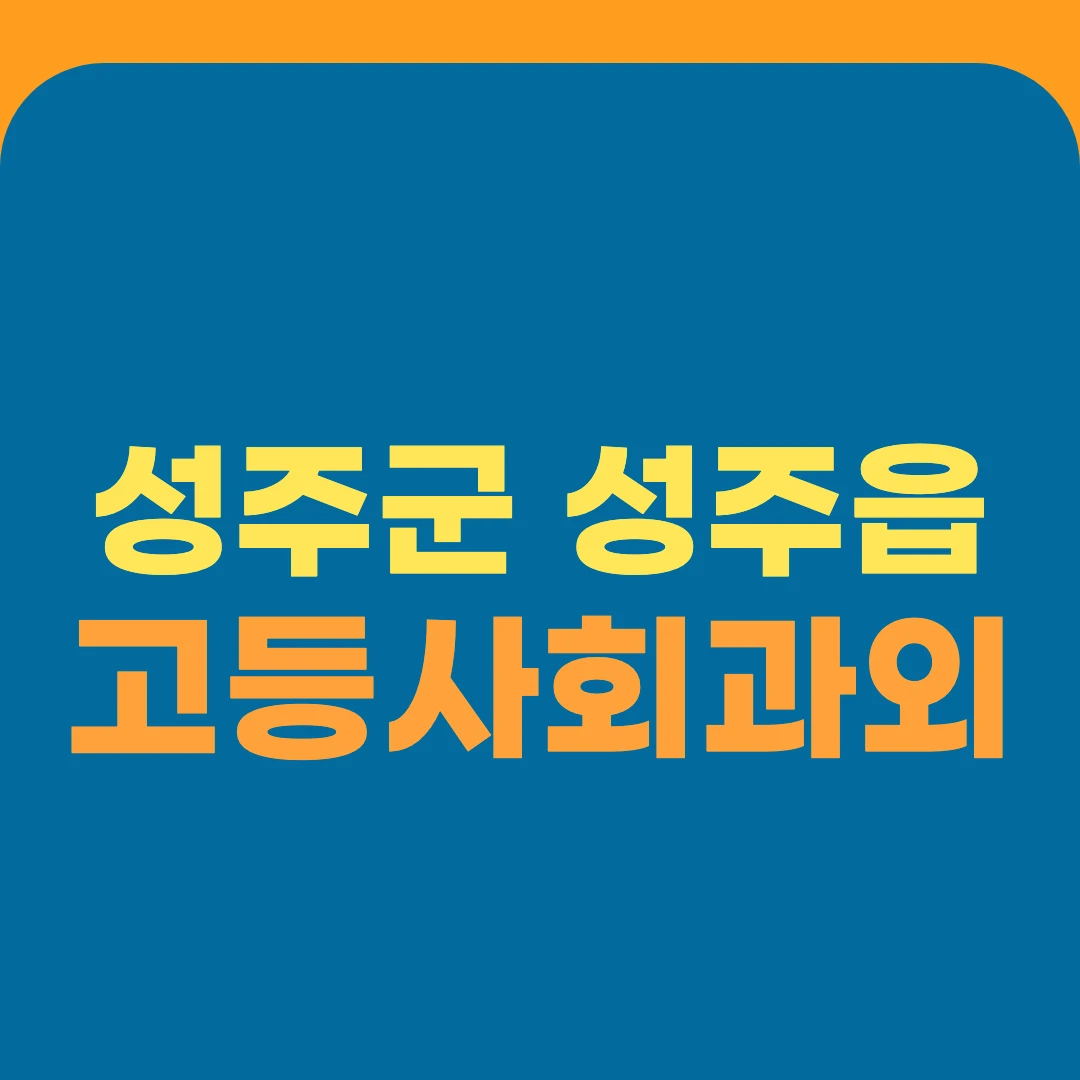 성주군 성주읍 고등사회과외