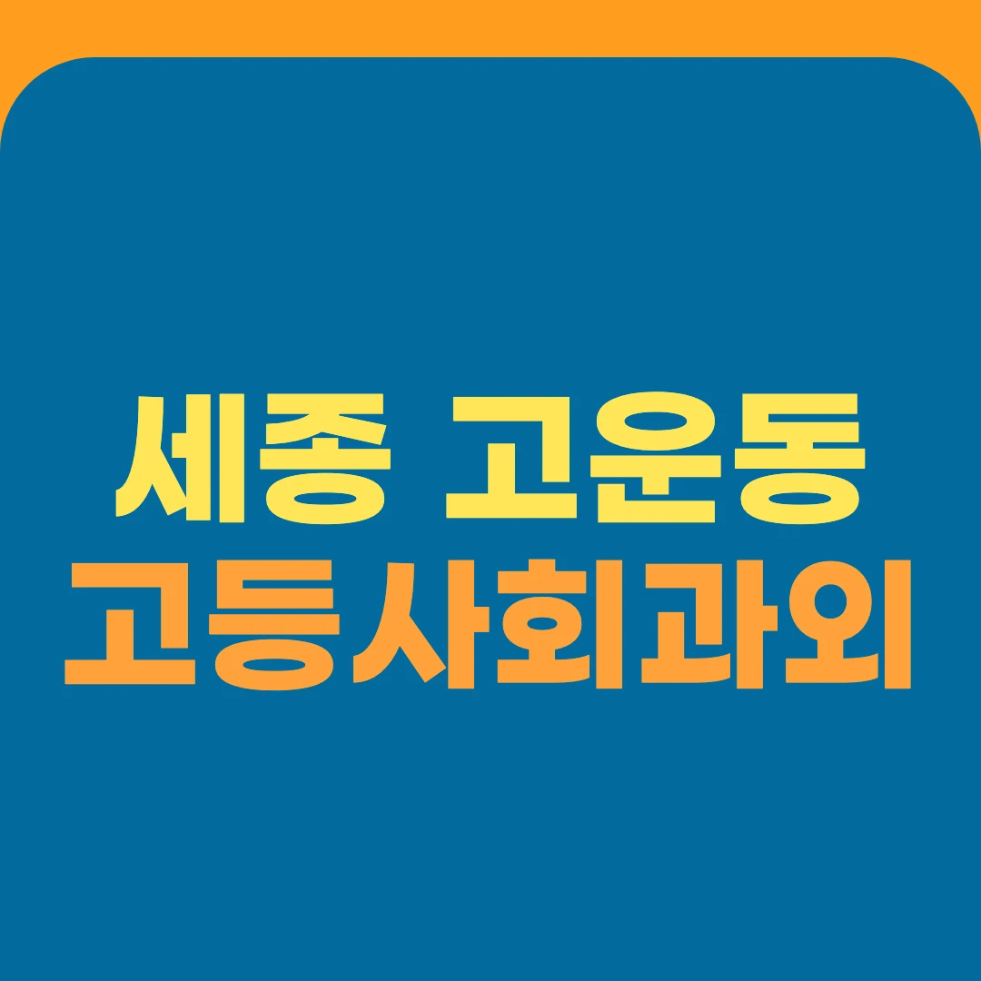 세종 고운동 고등사회과외