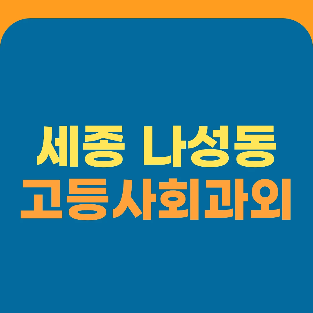 세종 나성동 고등사회과외