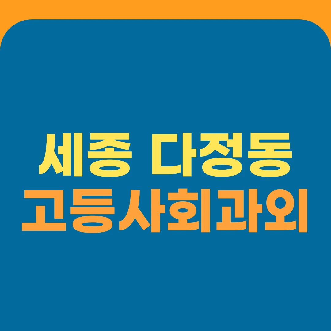 세종 다정동 고등사회과외