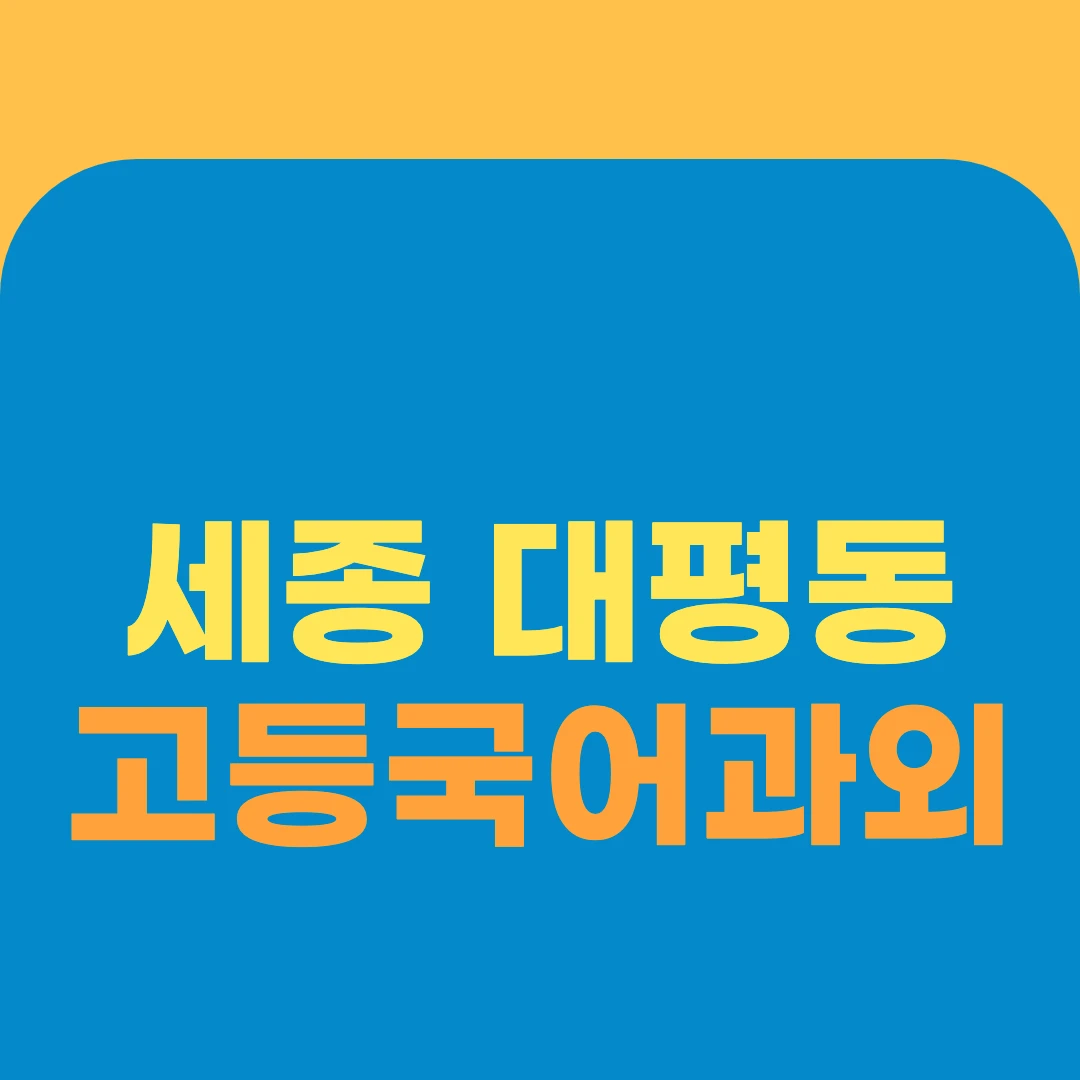 세종 대평동 고등국어과외