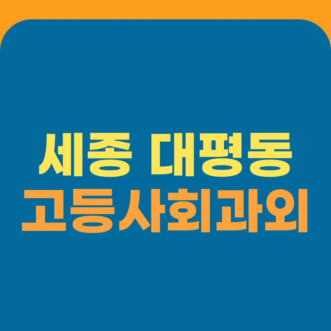 세종 대평동 고등사회과외