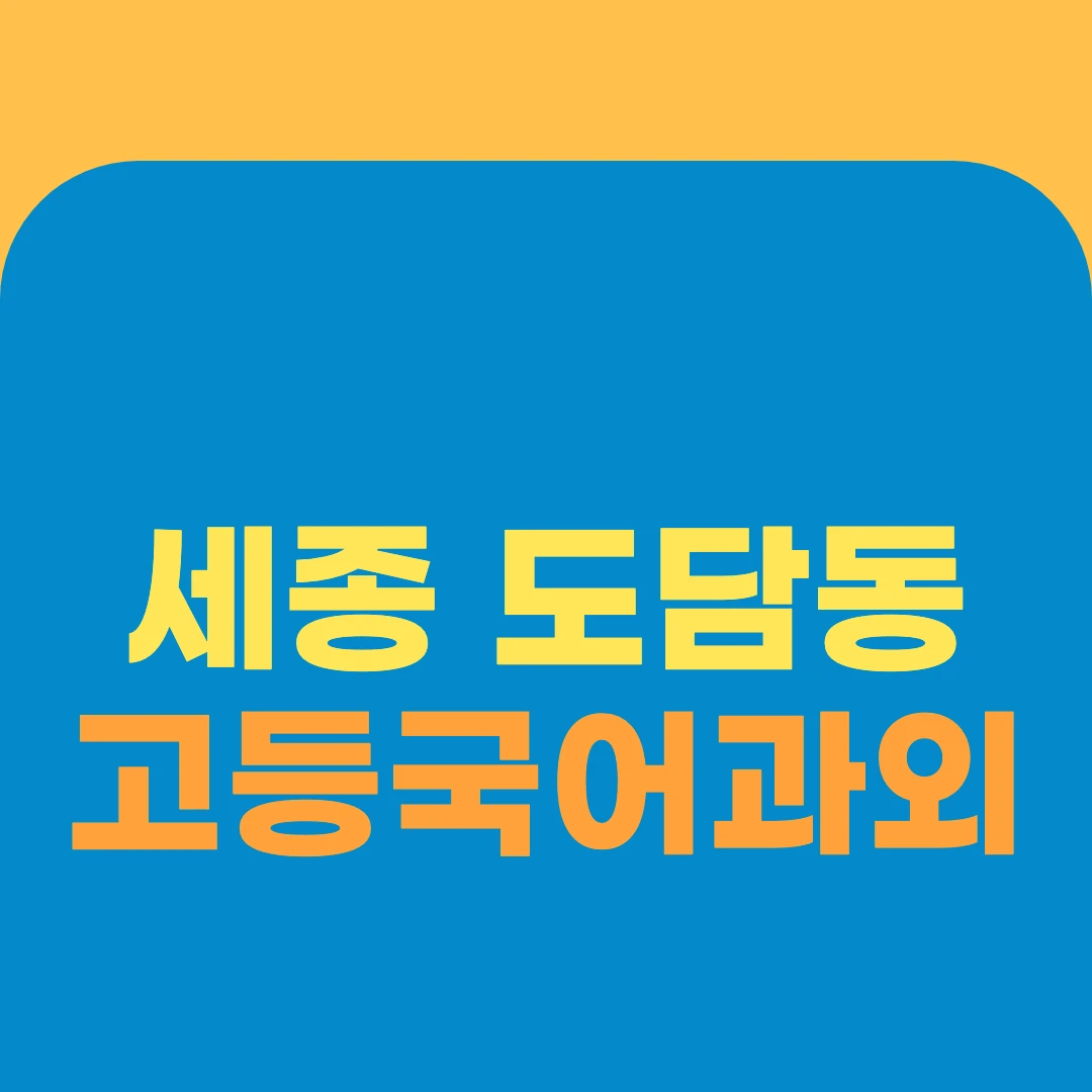 세종 도담동 고등국어과외