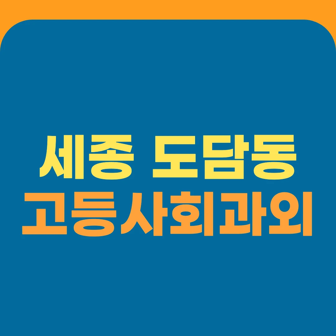 세종 도담동 고등사회과외