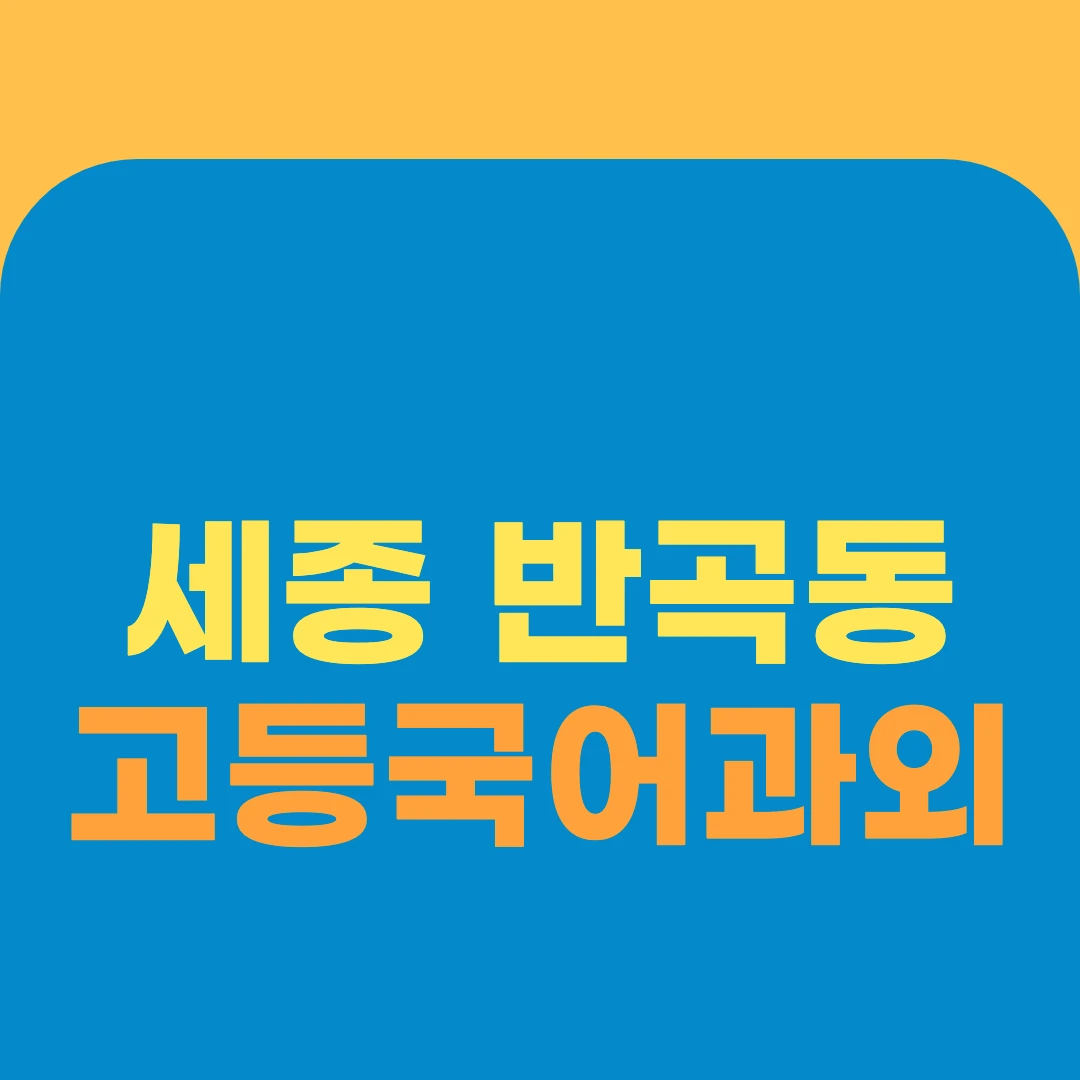 세종 반곡동 고등국어과외
