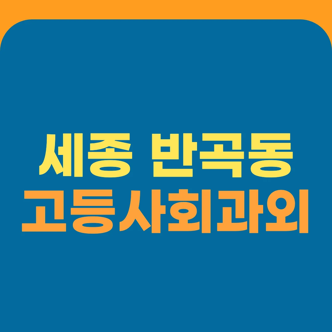 세종 반곡동 고등사회과외