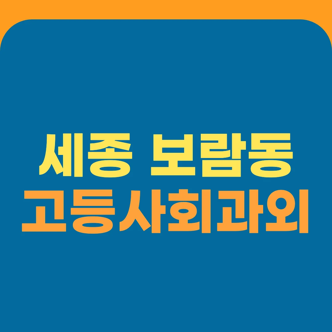 세종 보람동 고등사회과외