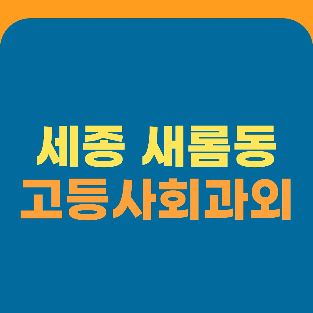세종 새롬동 고등사회과외