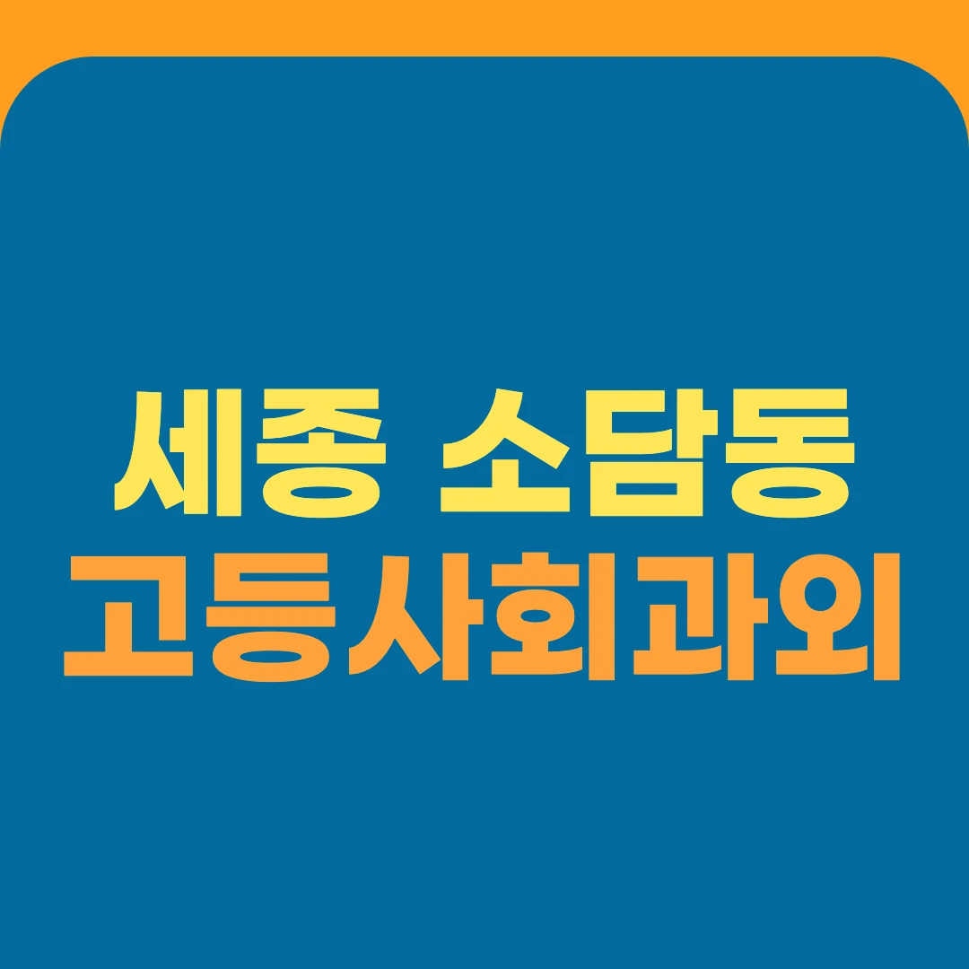 세종 소담동 고등사회과외
