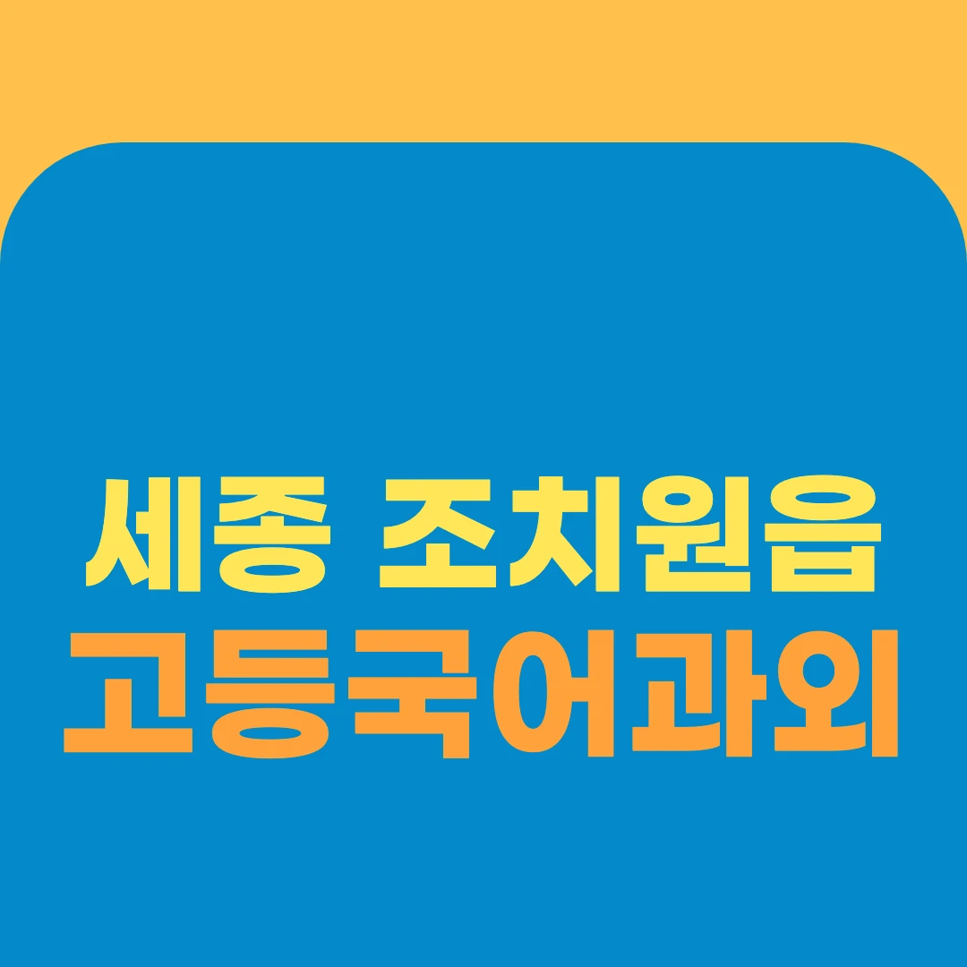 세종 조치원읍 고등국어과외