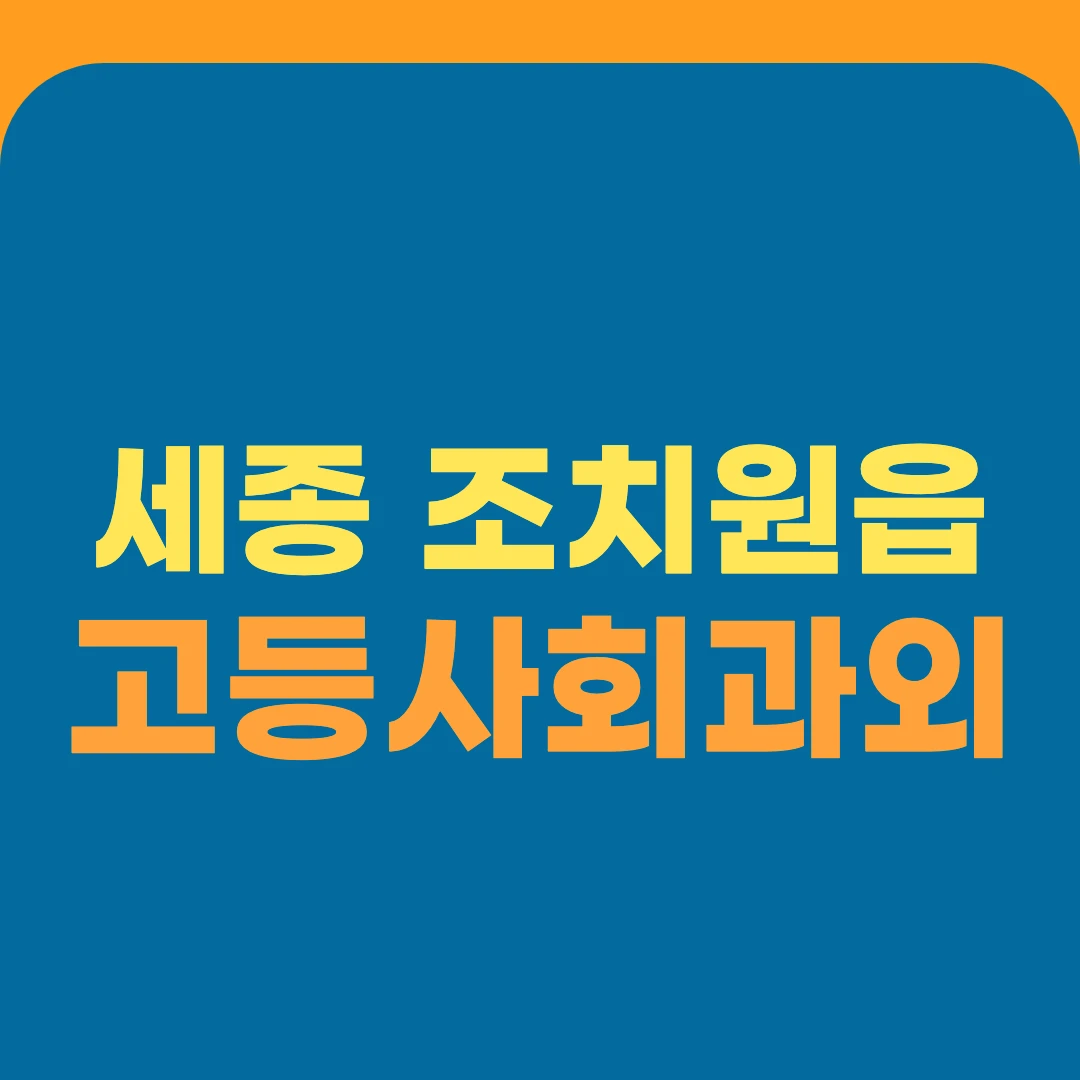 세종 조치원읍 고등사회과외