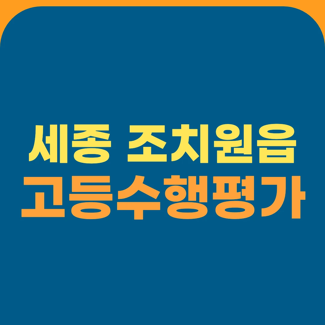 세종 조치원읍 고등수행평가