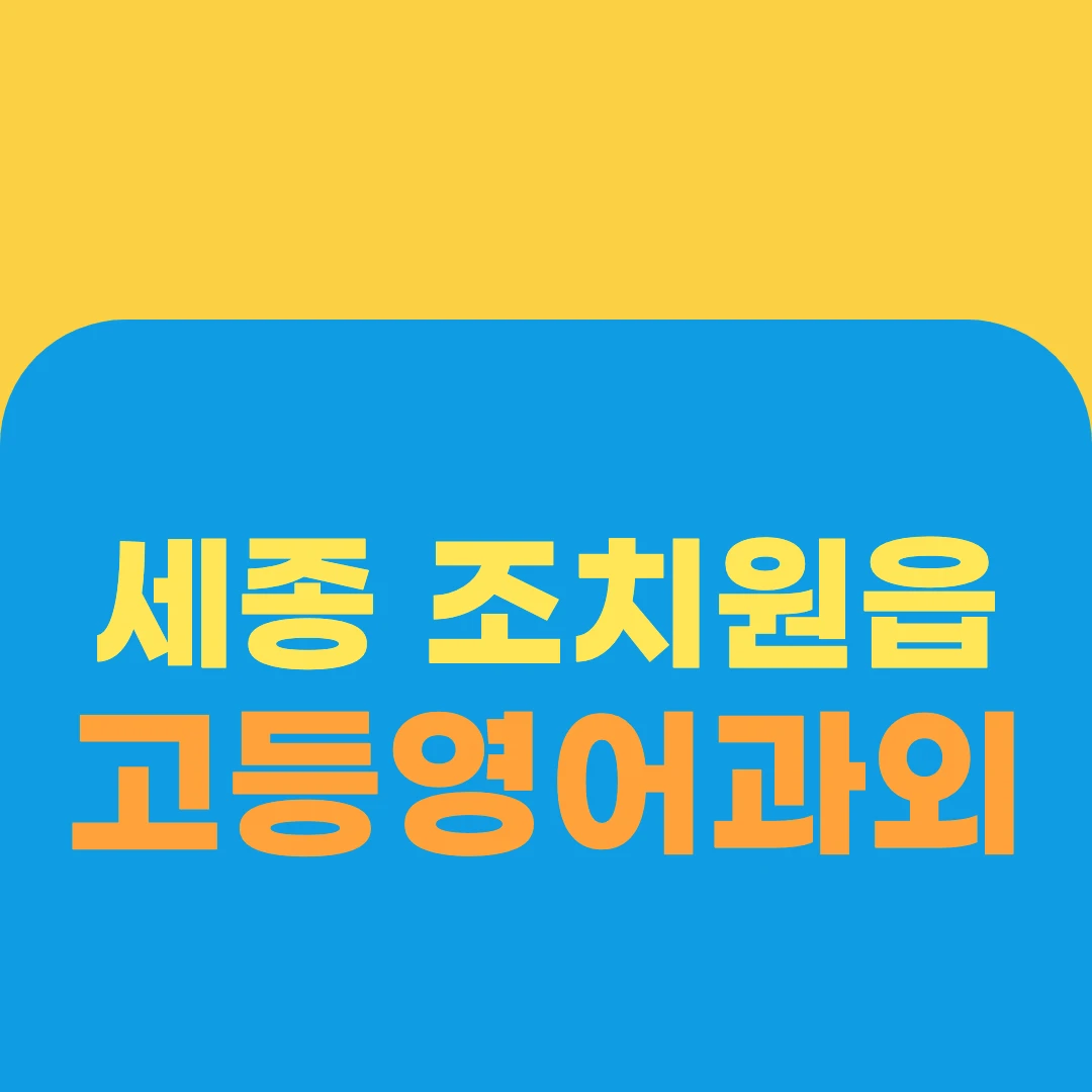세종 조치원읍 고등영어과외