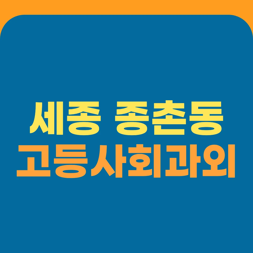 세종 종촌동 고등사회과외
