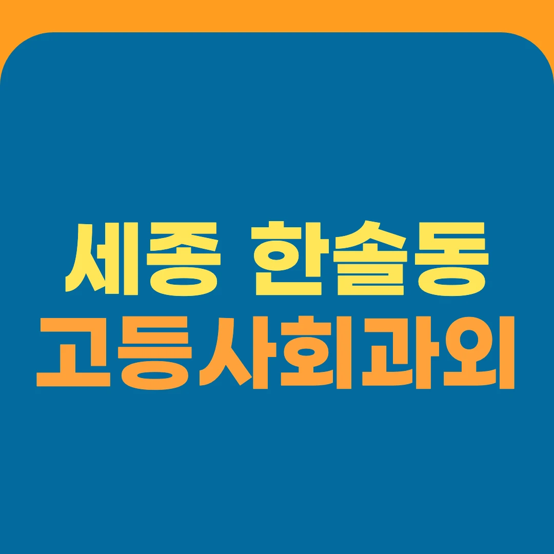 세종 한솔동 고등사회과외