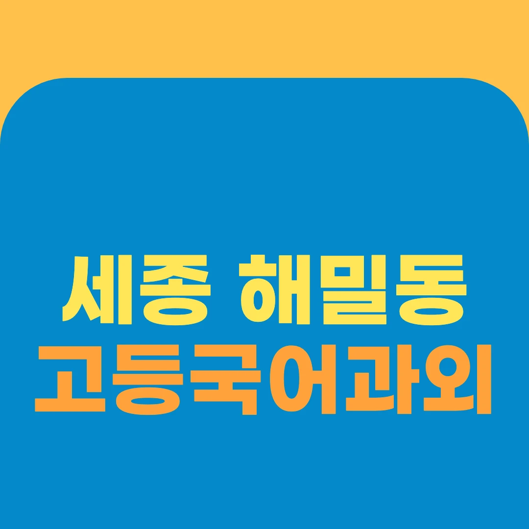 세종 해밀동 고등국어과외