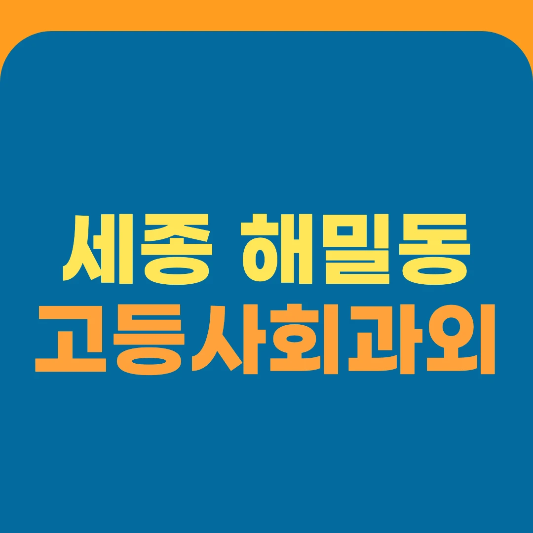 세종 해밀동 고등사회과외