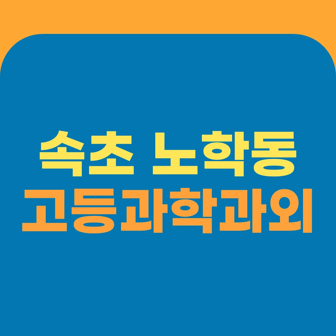 속초 노학동 고등과학과외